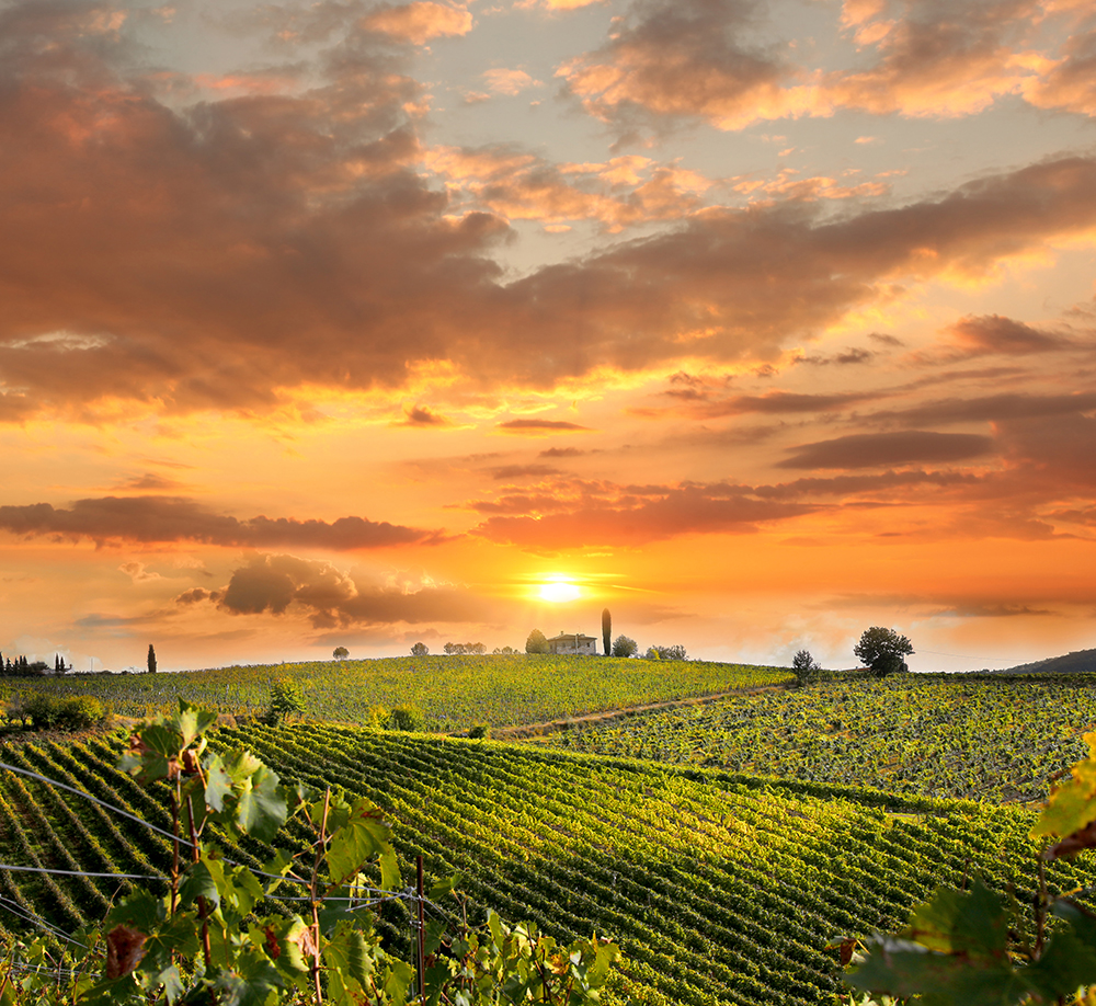 07July-Tuscany_1000