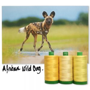 AfricanWildDogINSPO_1000