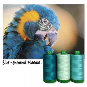 BlueThroatedMacawINSPO_1000