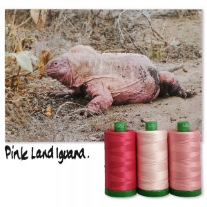 PinkLandIguanaINSPO_1000