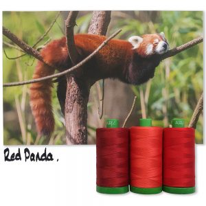 RedPandaINSPO_1000