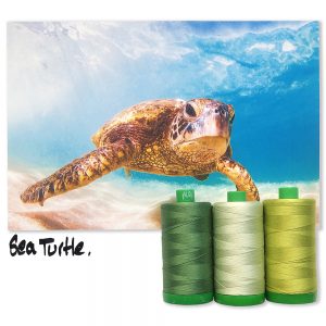 SeaTurtleINSPO_1000