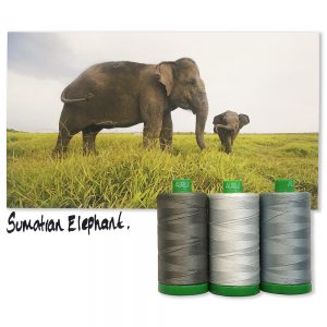 SumatranElephantINSPO_1000