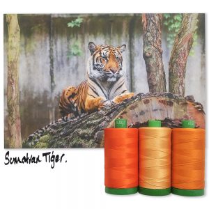 SumatranTigerINSPO_1000