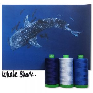 WhaleSharkINSPO_1000