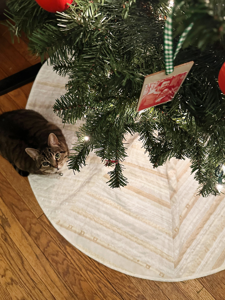 TreeSkirt1